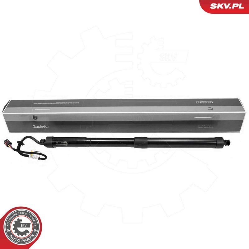 ESEN SKV 52SKV211 Electric Motor, tailgate