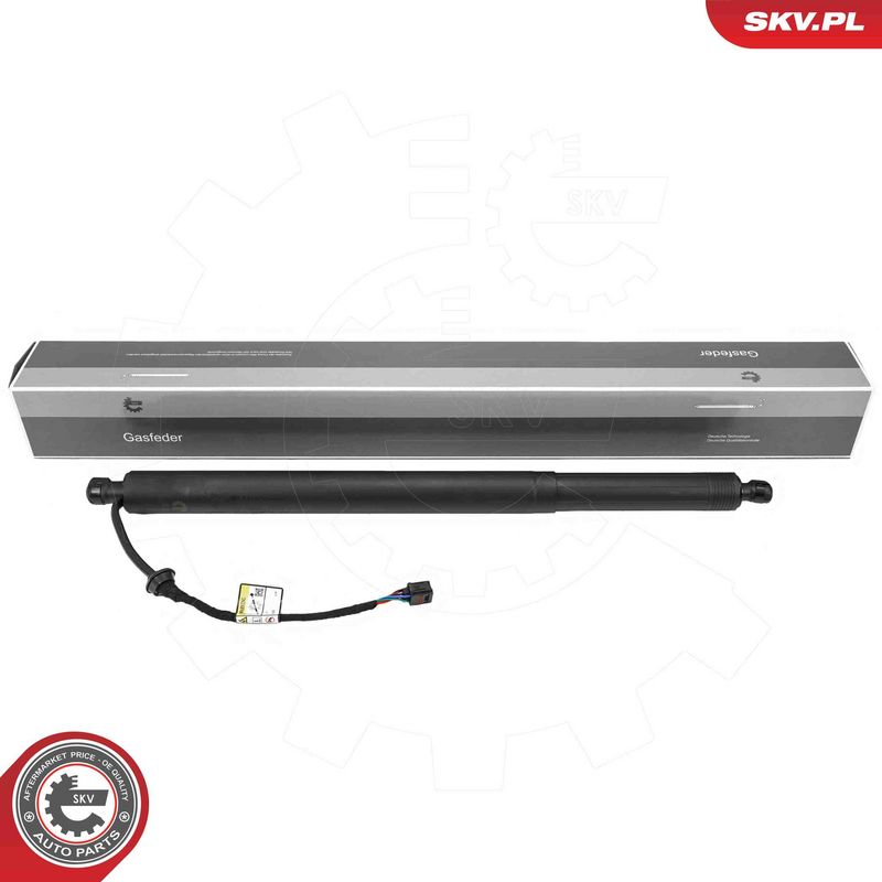 ESEN SKV 52SKV213 Electric Motor, tailgate