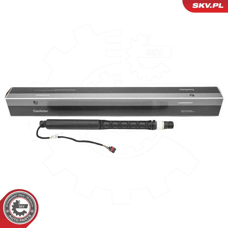 ESEN SKV 52SKV214 Electric Motor, tailgate