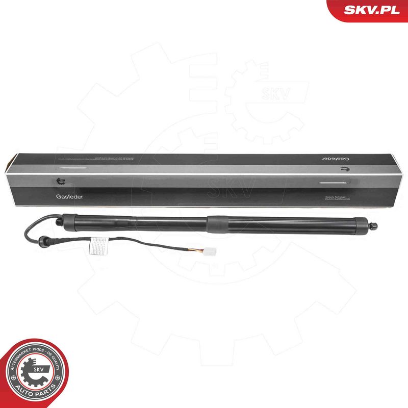 ESEN SKV 52SKV216 Electric Motor, tailgate