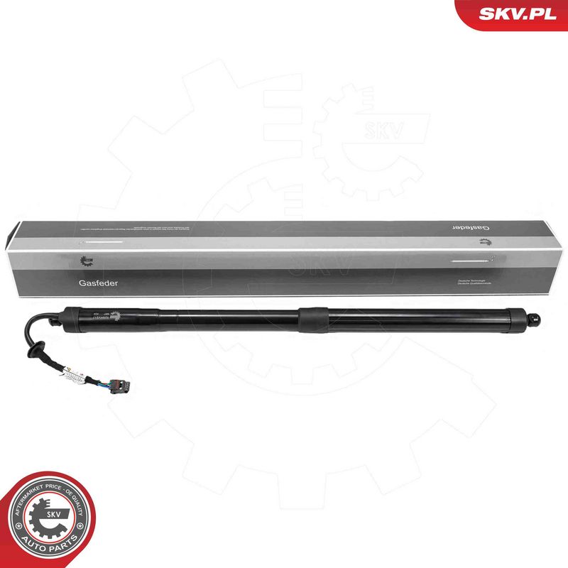 ESEN SKV 52SKV217 Electric Motor, tailgate