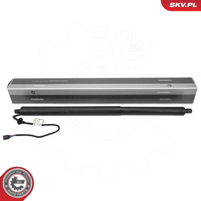 ESEN SKV 52SKV218 Electric Motor, tailgate