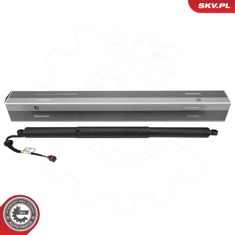 ESEN SKV 52SKV219 Electric Motor, tailgate