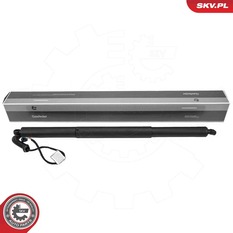 ESEN SKV 52SKV220 Electric Motor, tailgate