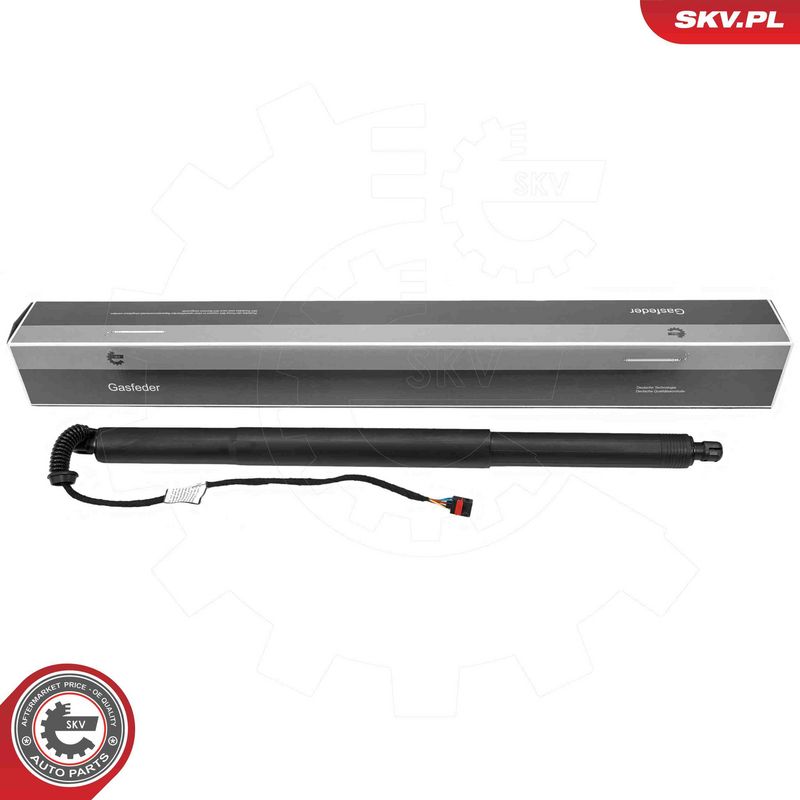 ESEN SKV 52SKV221 Electric Motor, tailgate