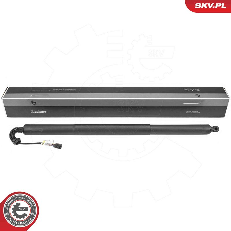 ESEN SKV 52SKV222 Electric Motor, tailgate