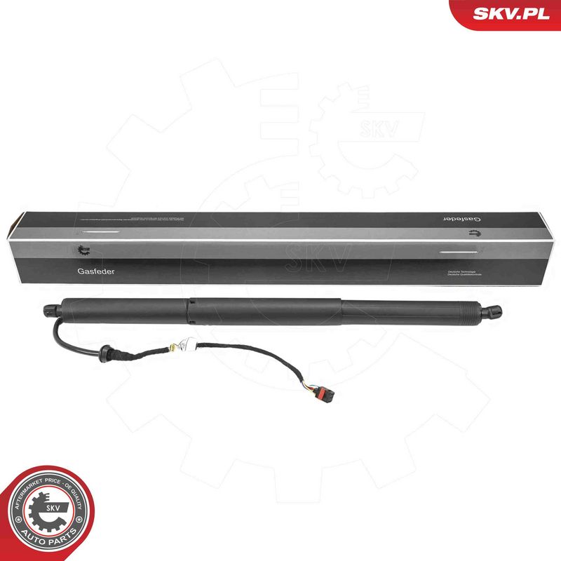 ESEN SKV 52SKV223 Electric Motor, tailgate