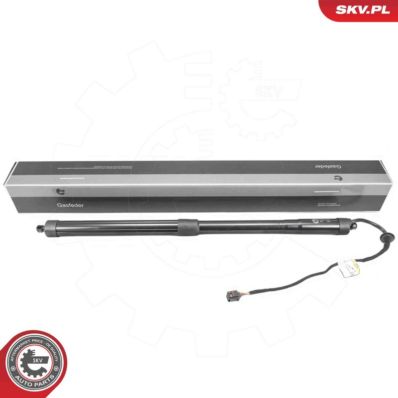 ESEN SKV 52SKV226 Electric Motor, tailgate