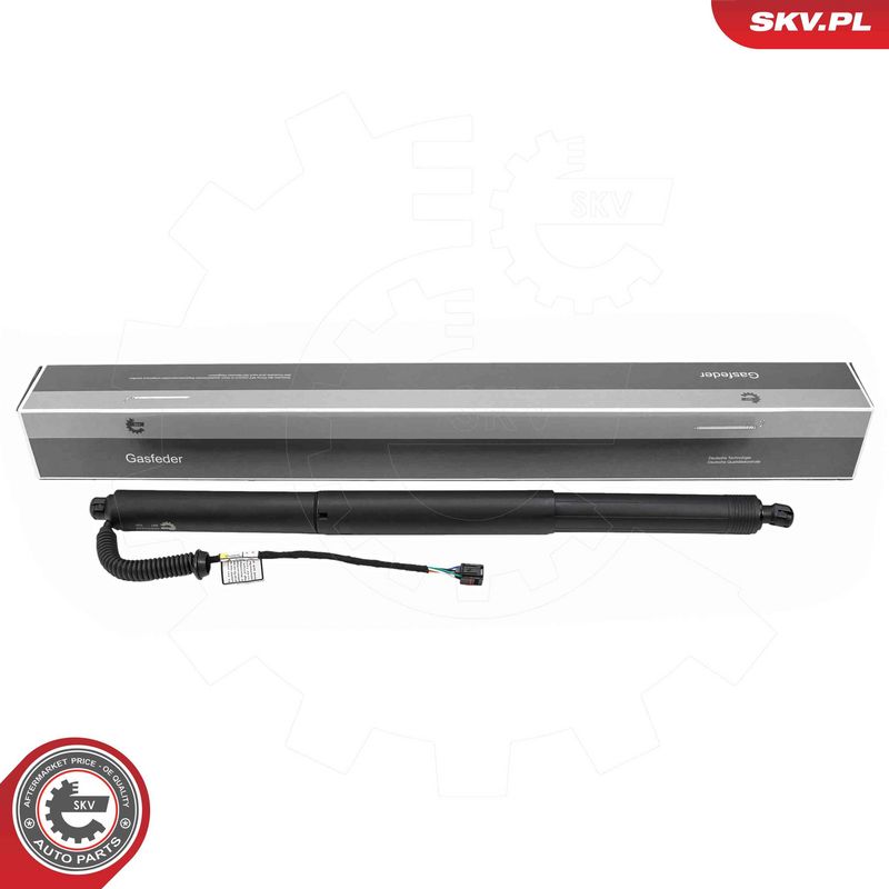 ESEN SKV 52SKV228 Electric Motor, tailgate