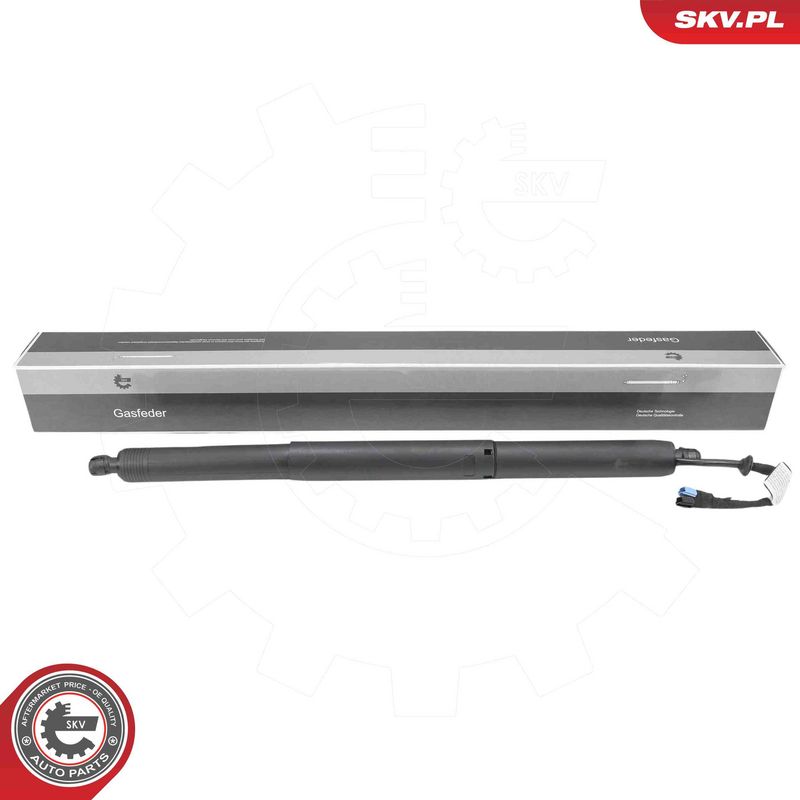 ESEN SKV 52SKV232 Electric Motor, tailgate