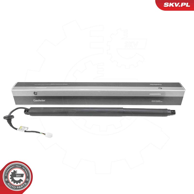 ESEN SKV 52SKV233 Electric Motor, tailgate