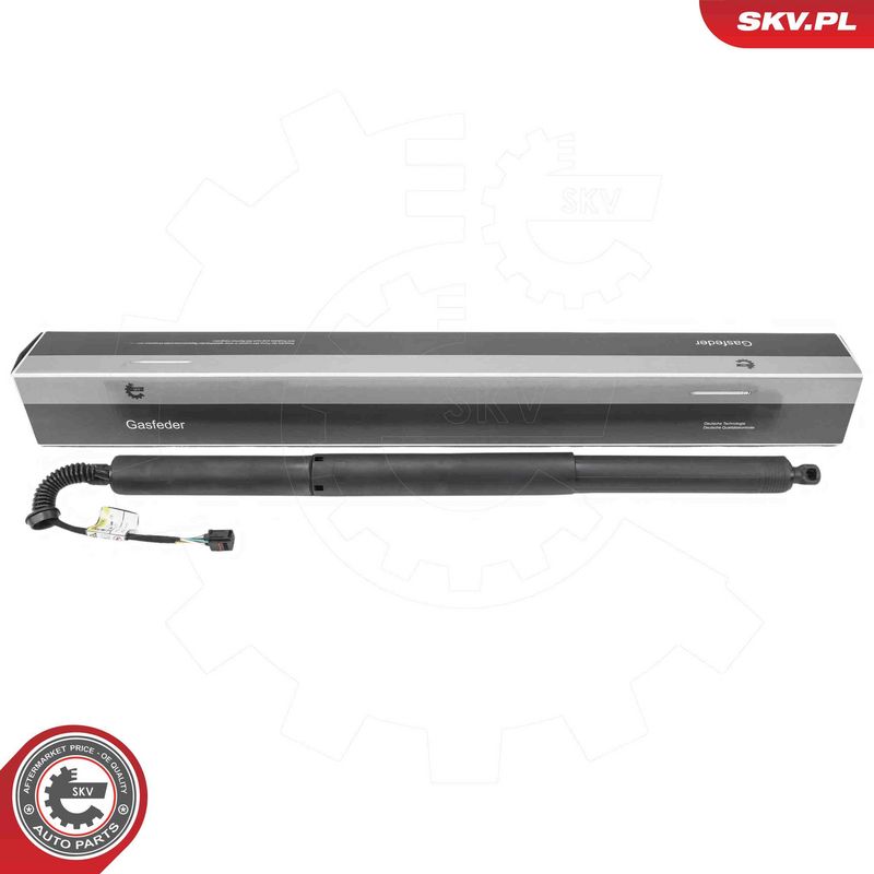 ESEN SKV 52SKV236 Electric Motor, tailgate