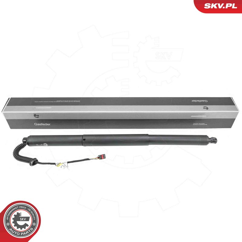 ESEN SKV 52SKV237 Electric Motor, tailgate