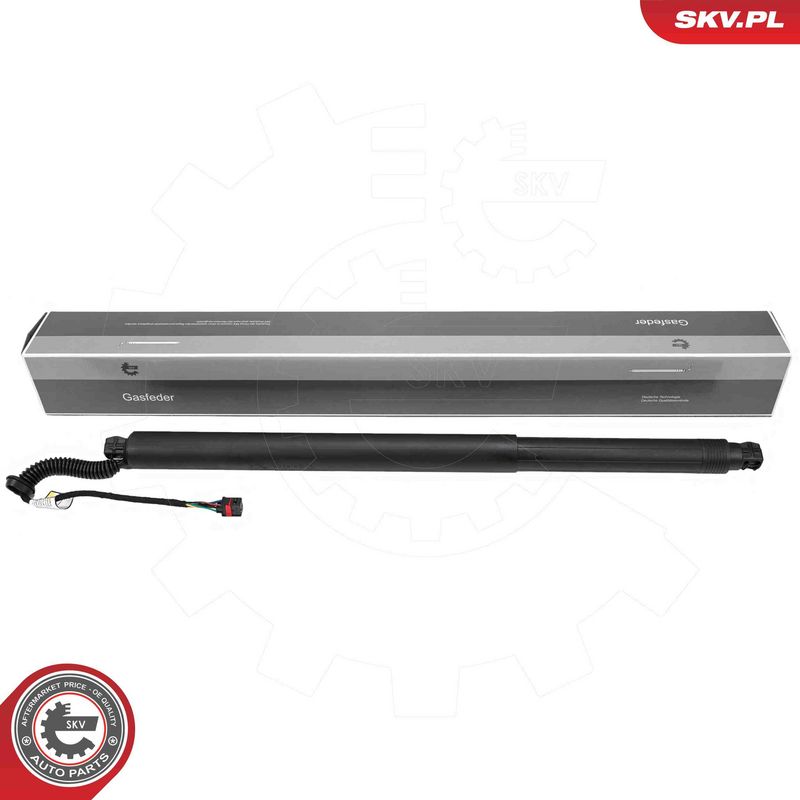ESEN SKV 52SKV238 Electric Motor, tailgate