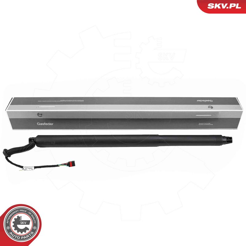 ESEN SKV 52SKV239 Electric Motor, tailgate