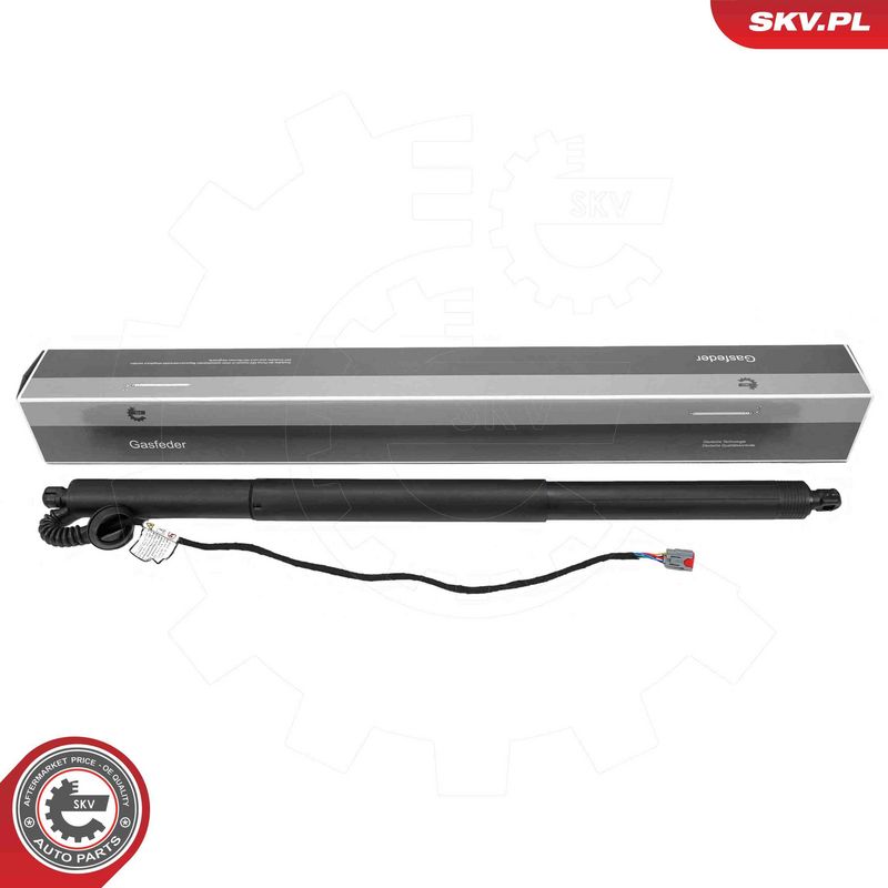 ESEN SKV 52SKV240 Electric Motor, tailgate