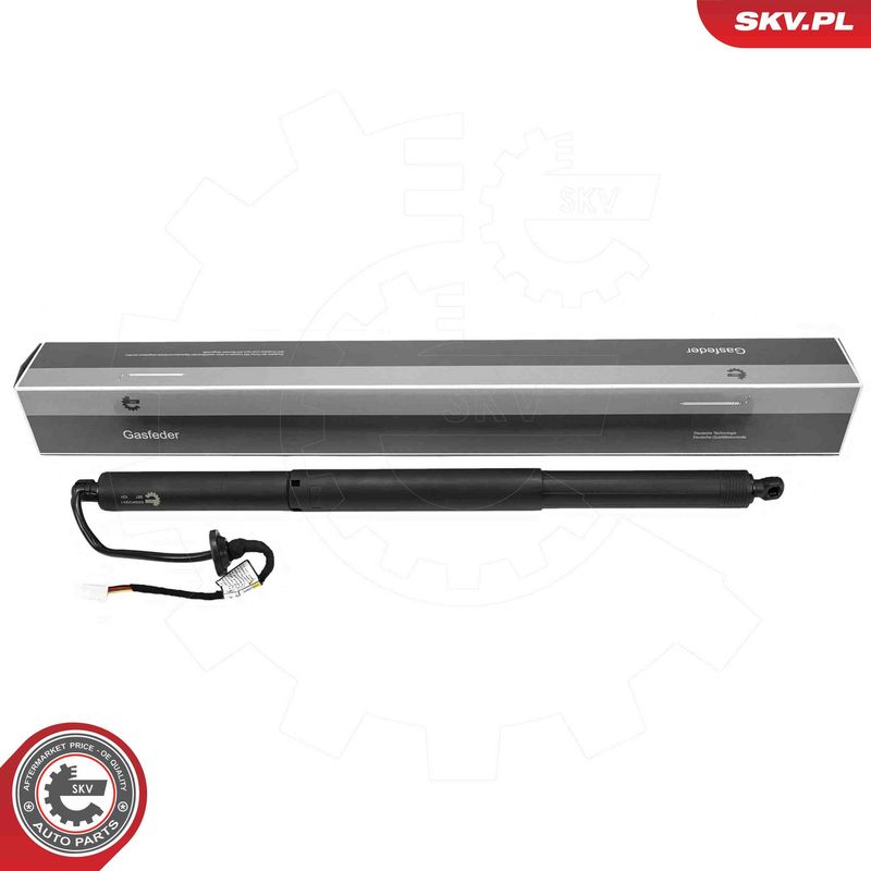 ESEN SKV 52SKV241 Electric Motor, tailgate