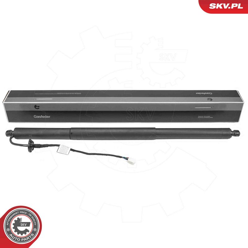 ESEN SKV 52SKV242 Electric Motor, tailgate