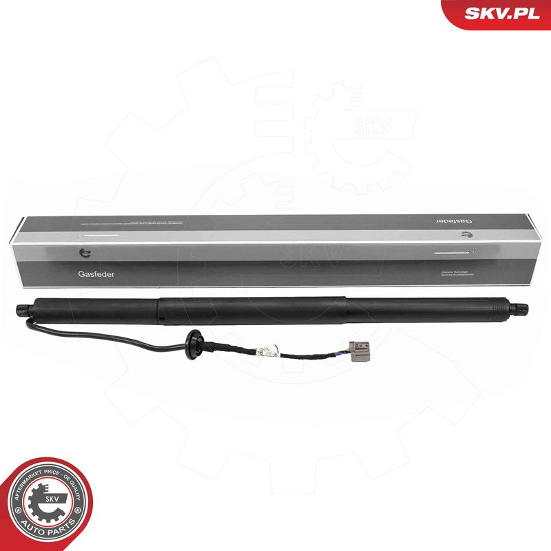 ESEN SKV 52SKV243 Electric Motor, tailgate