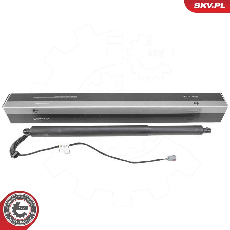 ESEN SKV 52SKV245 Electric Motor, tailgate