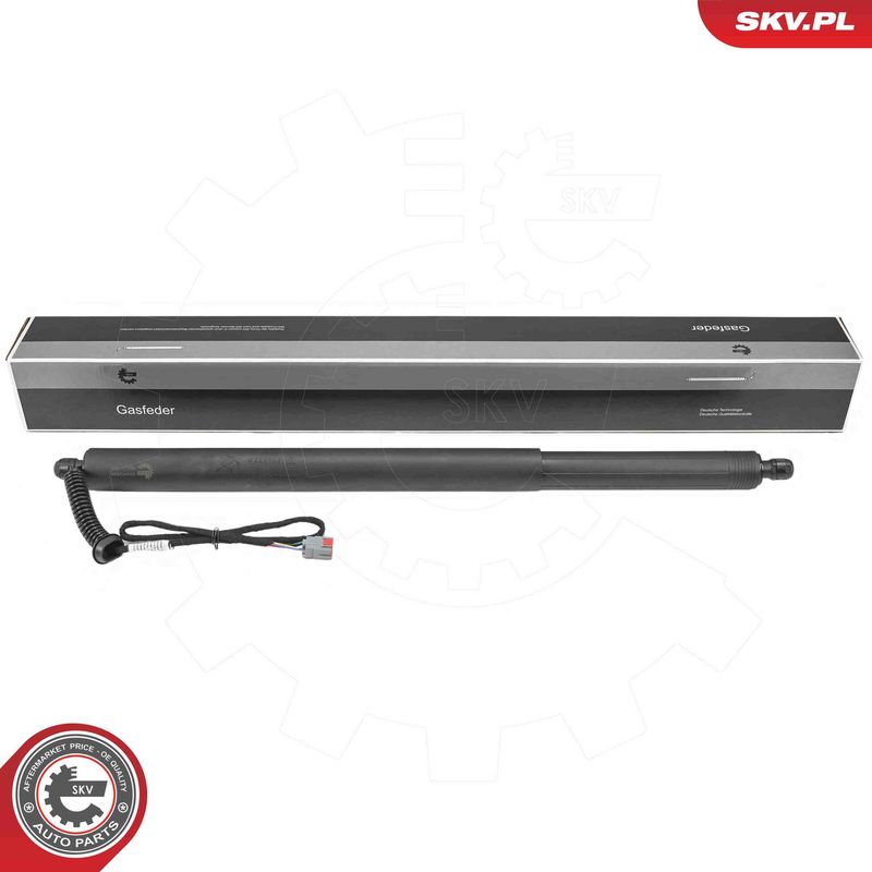 ESEN SKV 52SKV246 Electric Motor, tailgate