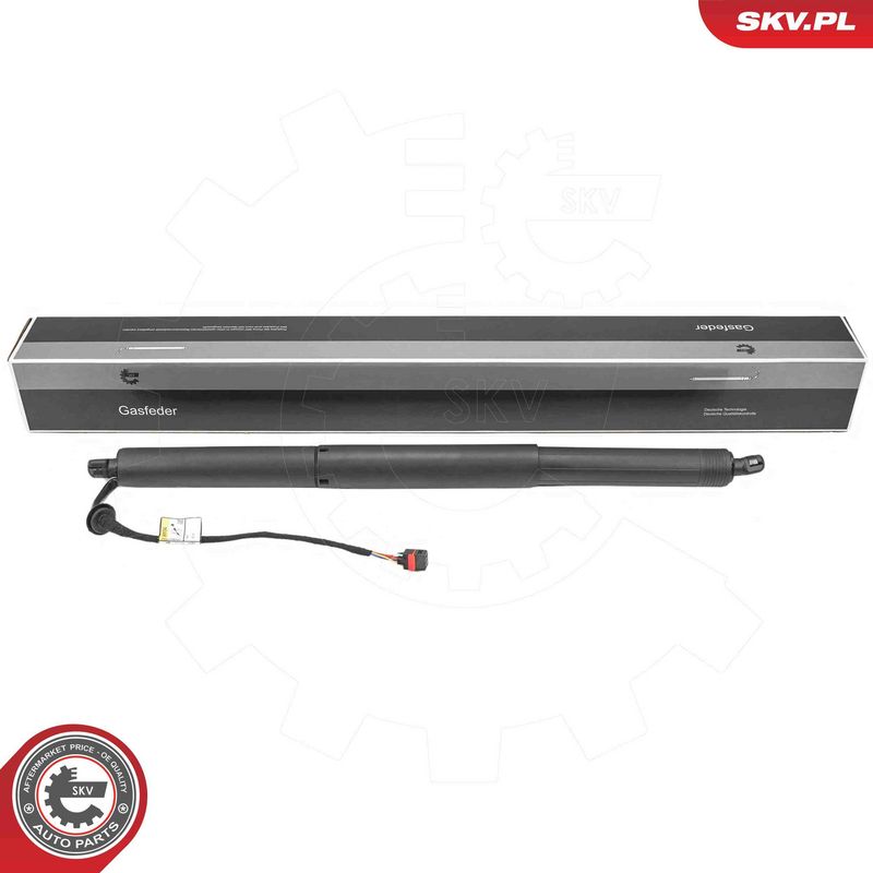 ESEN SKV 52SKV247 Electric Motor, tailgate
