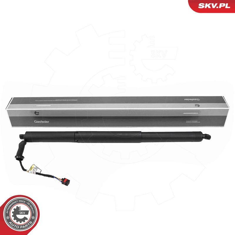 ESEN SKV 52SKV248 Electric Motor, tailgate