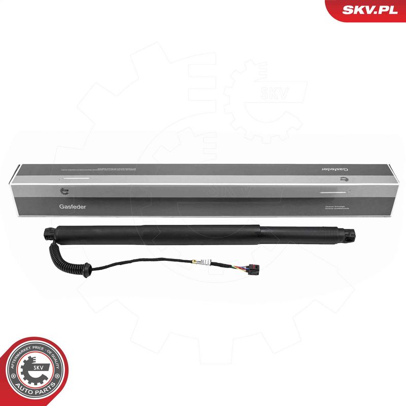 ESEN SKV 52SKV251 Electric Motor, tailgate