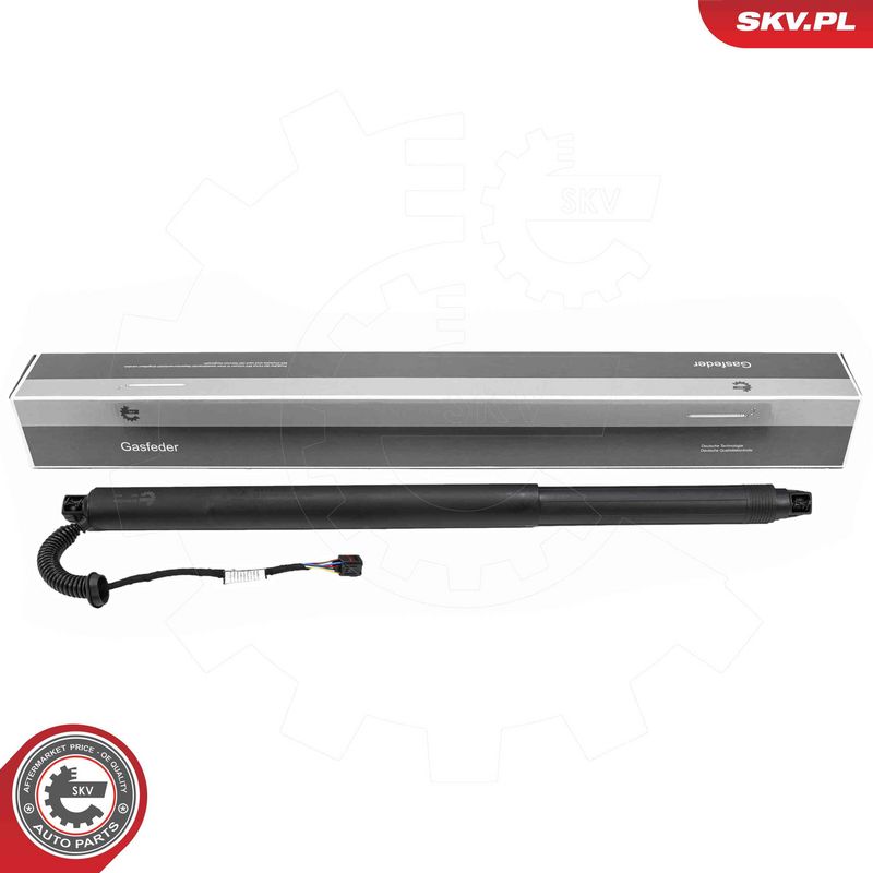 ESEN SKV 52SKV254 Electric Motor, tailgate