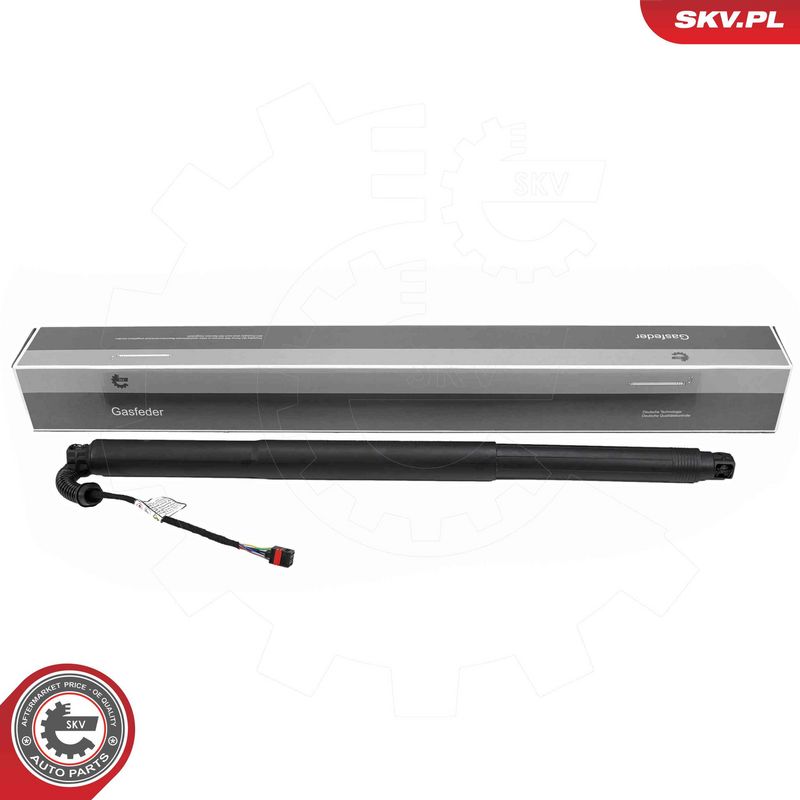 ESEN SKV 52SKV255 Electric Motor, tailgate