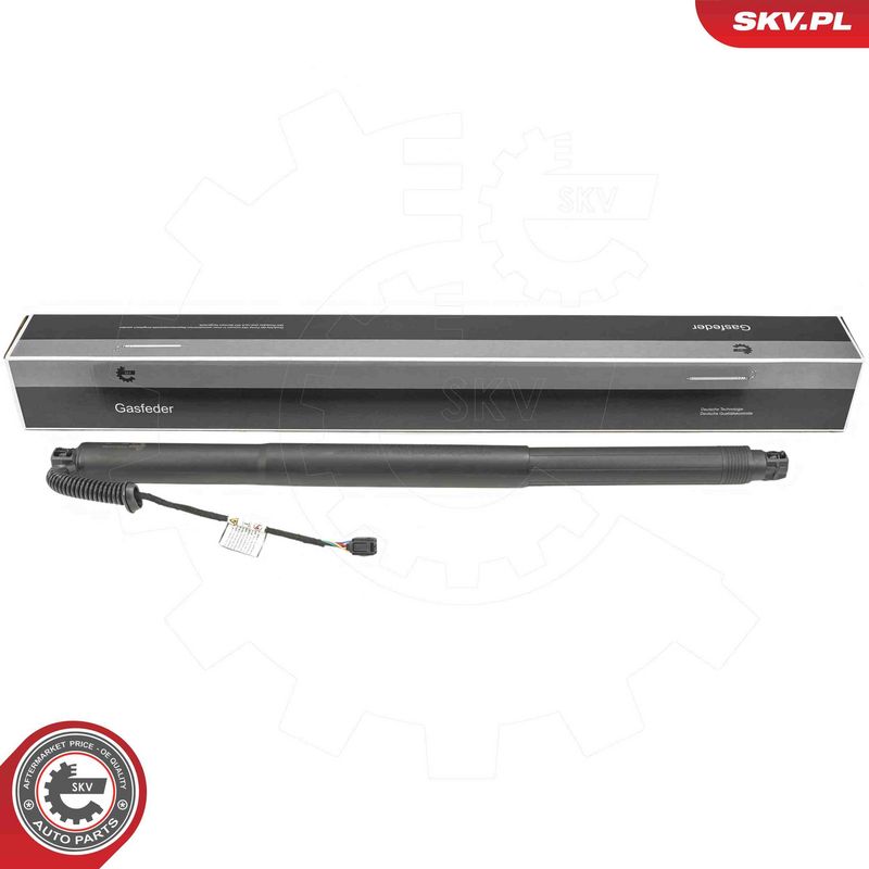 ESEN SKV 52SKV256 Electric Motor, tailgate