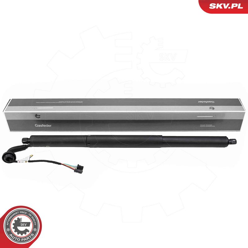 ESEN SKV 52SKV258 Electric Motor, tailgate