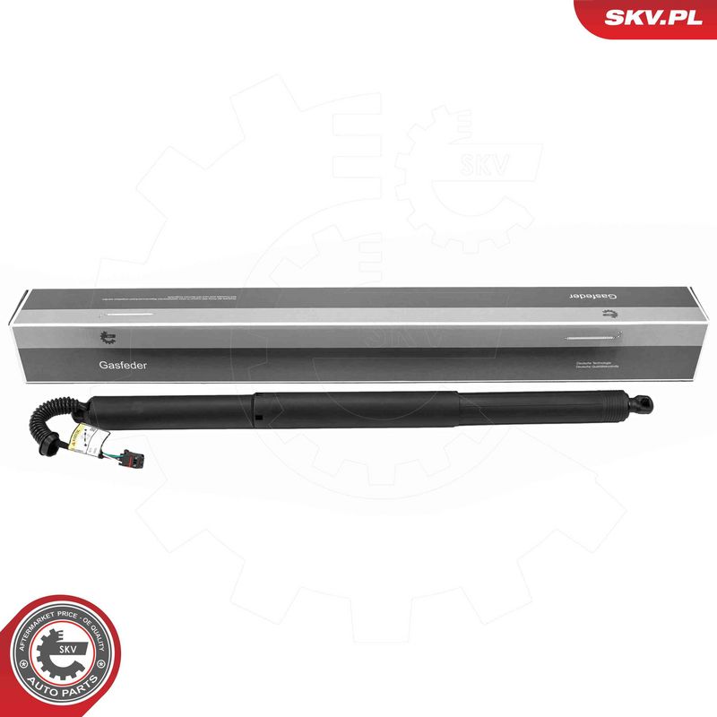 ESEN SKV 52SKV259 Electric Motor, tailgate