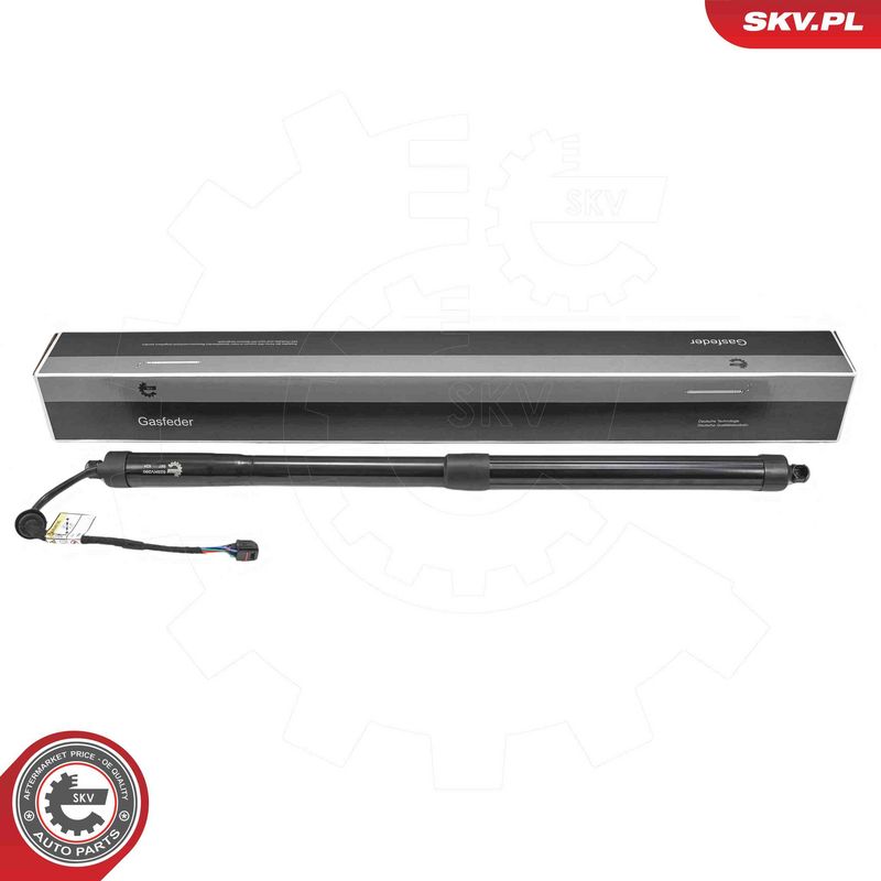 ESEN SKV 52SKV260 Electric Motor, tailgate