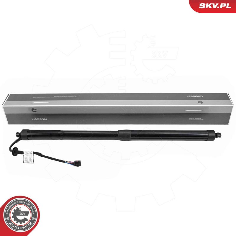 ESEN SKV 52SKV261 Electric Motor, tailgate