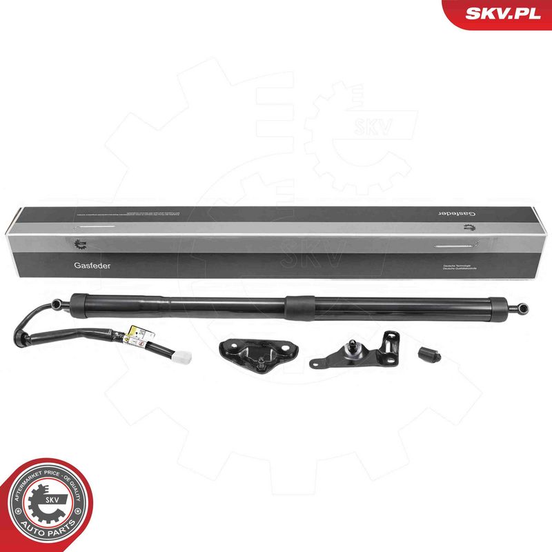 ESEN SKV 52SKV262 Electric Motor, tailgate