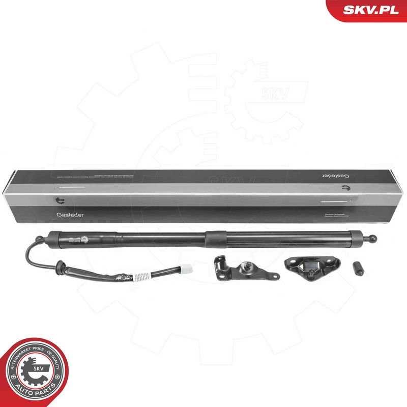 ESEN SKV 52SKV263 Electric Motor, tailgate