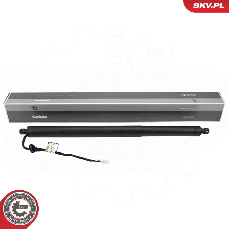ESEN SKV 52SKV265 Electric Motor, tailgate