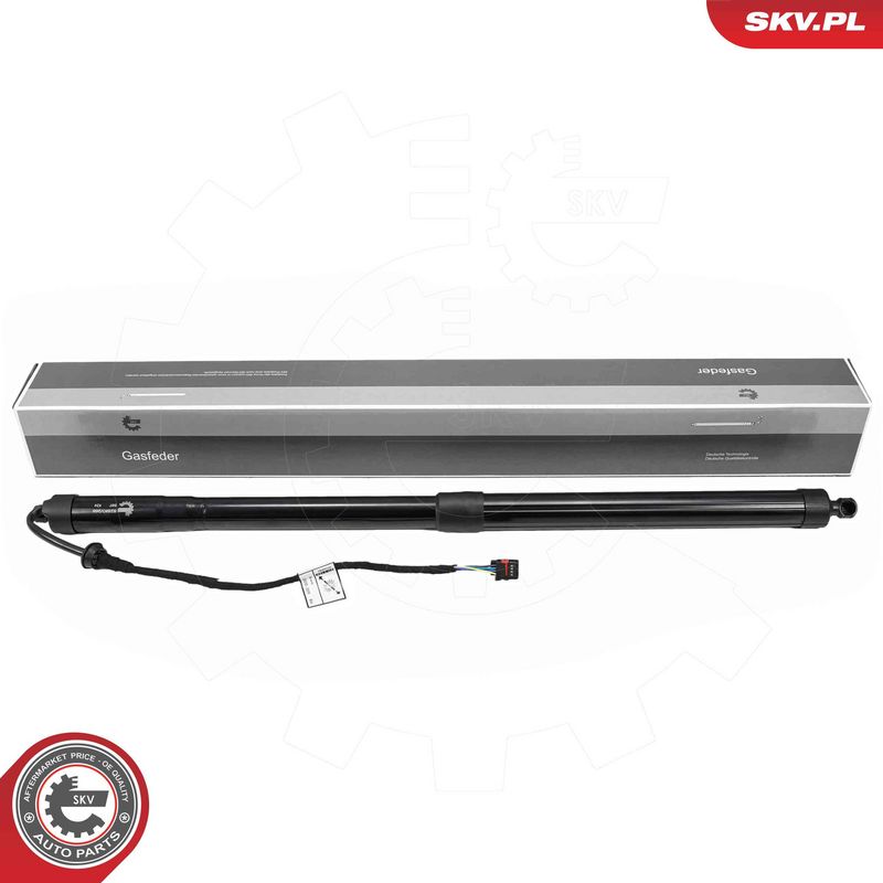 ESEN SKV 52SKV266 Electric Motor, tailgate
