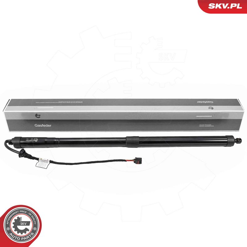 ESEN SKV 52SKV267 Electric Motor, tailgate