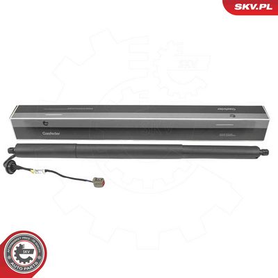 Electric Motor, tailgate ESEN SKV 52SKV268