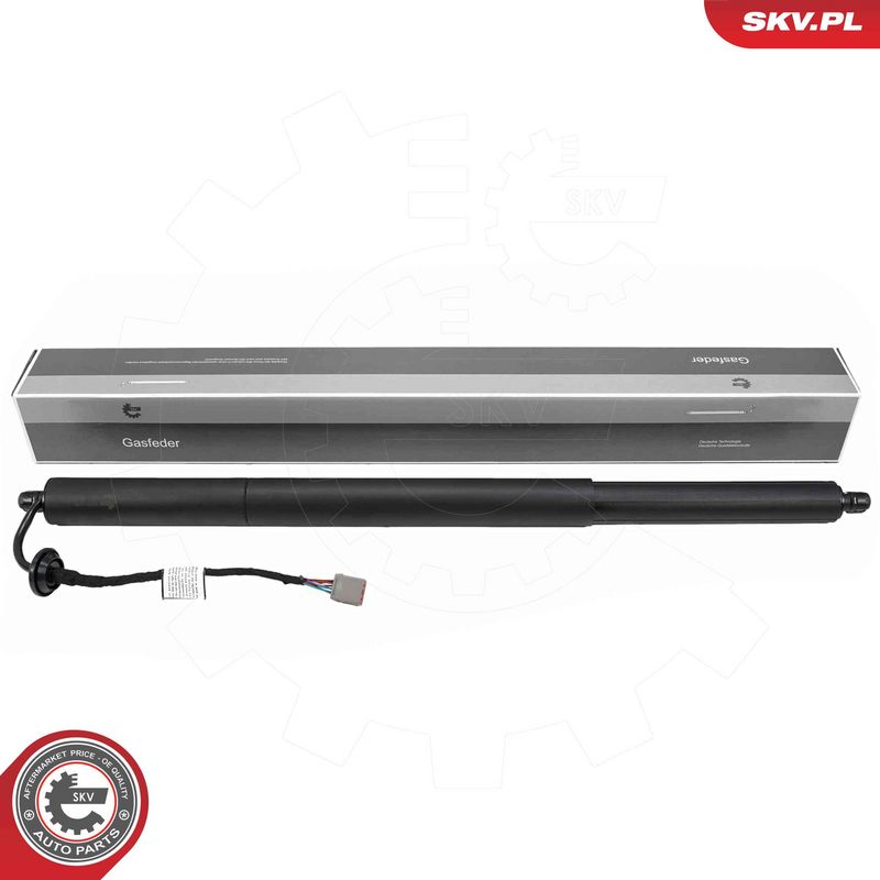 ESEN SKV 52SKV269 Electric Motor, tailgate