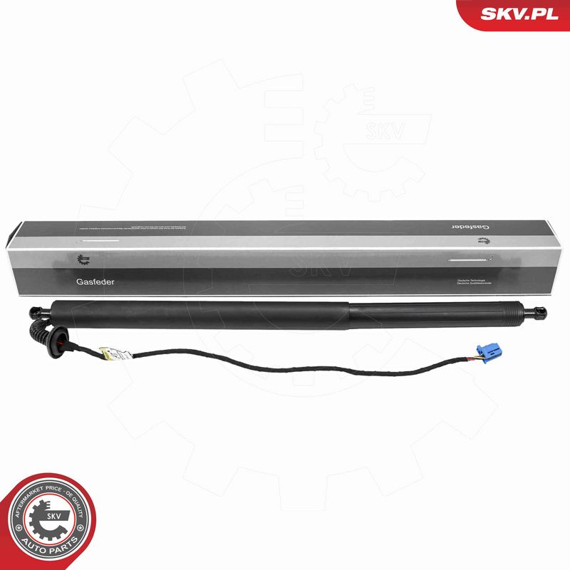 ESEN SKV 52SKV270 Electric Motor, tailgate