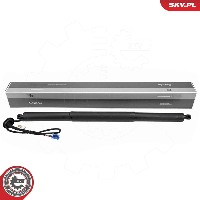 ESEN SKV 52SKV271 Electric Motor, tailgate