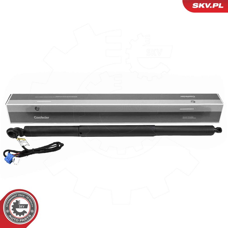 ESEN SKV 52SKV272 Electric Motor, tailgate