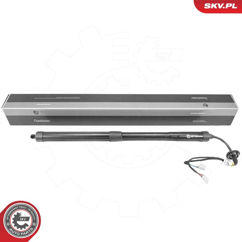ESEN SKV 52SKV273 Electric Motor, tailgate