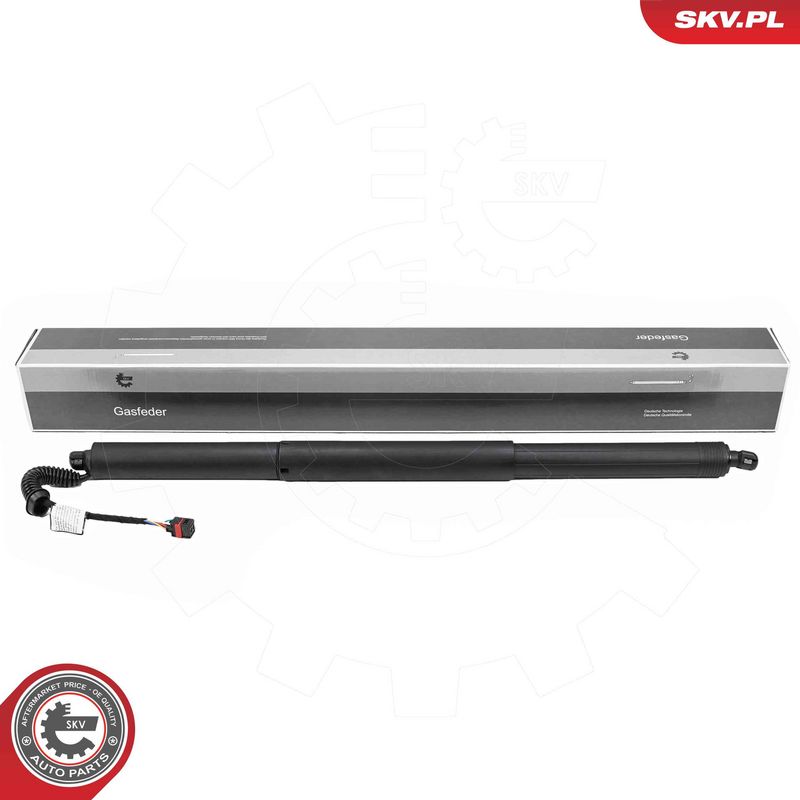 ESEN SKV 52SKV276 Electric Motor, tailgate