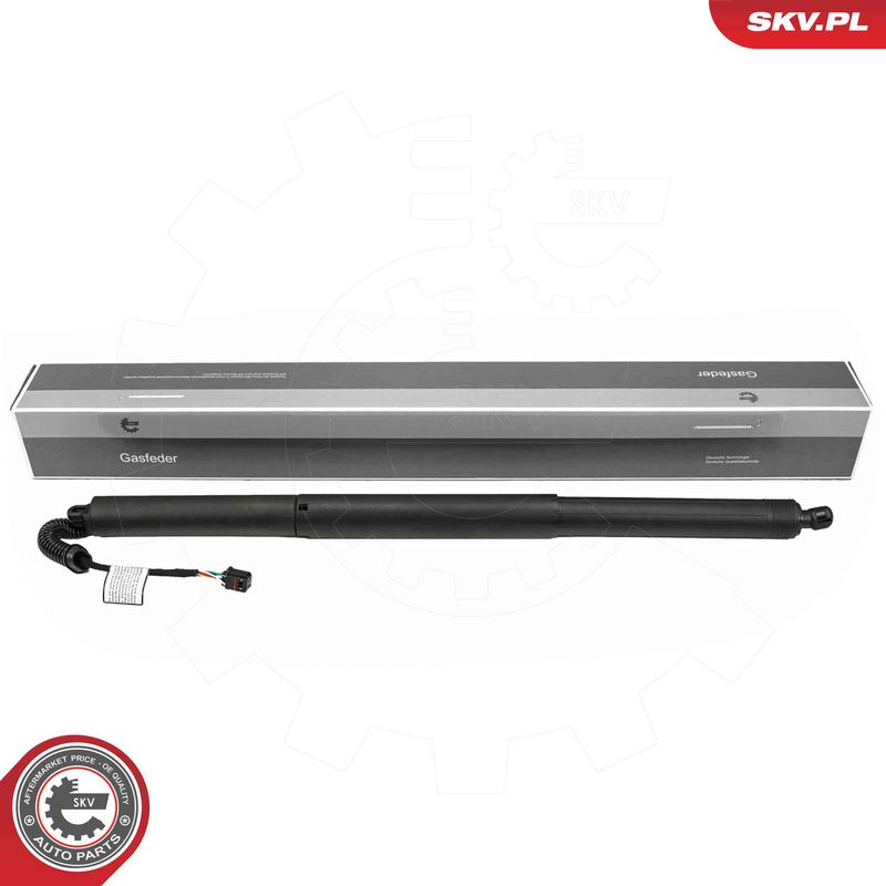 ESEN SKV 52SKV277 Electric Motor, tailgate
