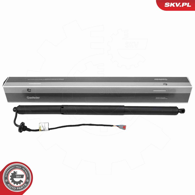 ESEN SKV 52SKV278 Electric Motor, tailgate