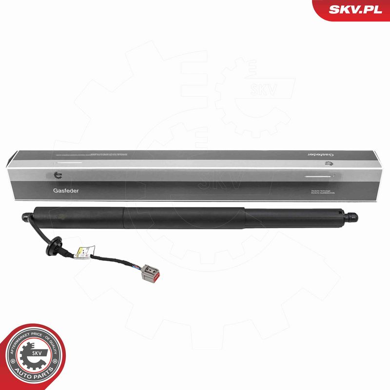 ESEN SKV 52SKV279 Electric Motor, tailgate